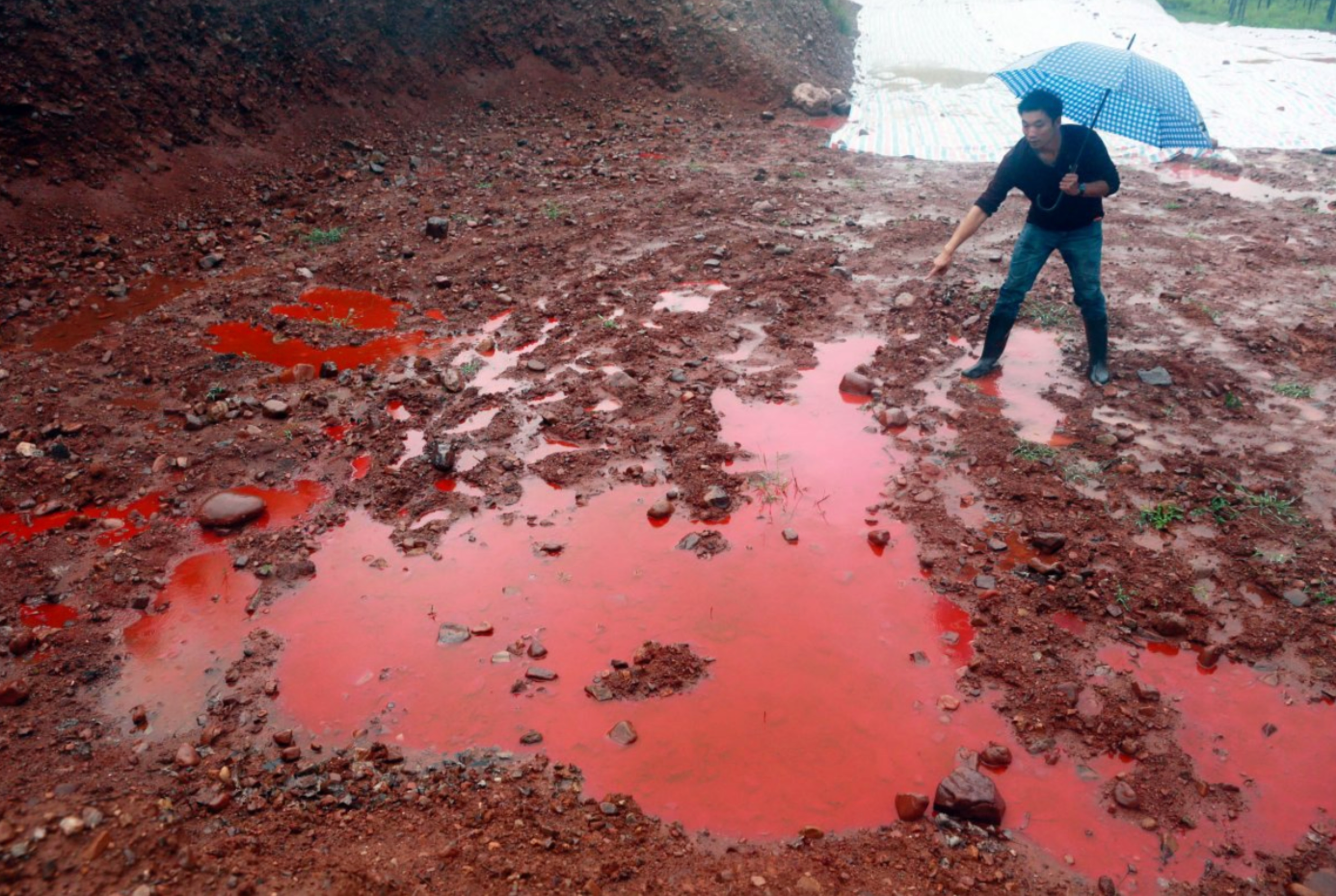 Cotton, carbon, and pollution