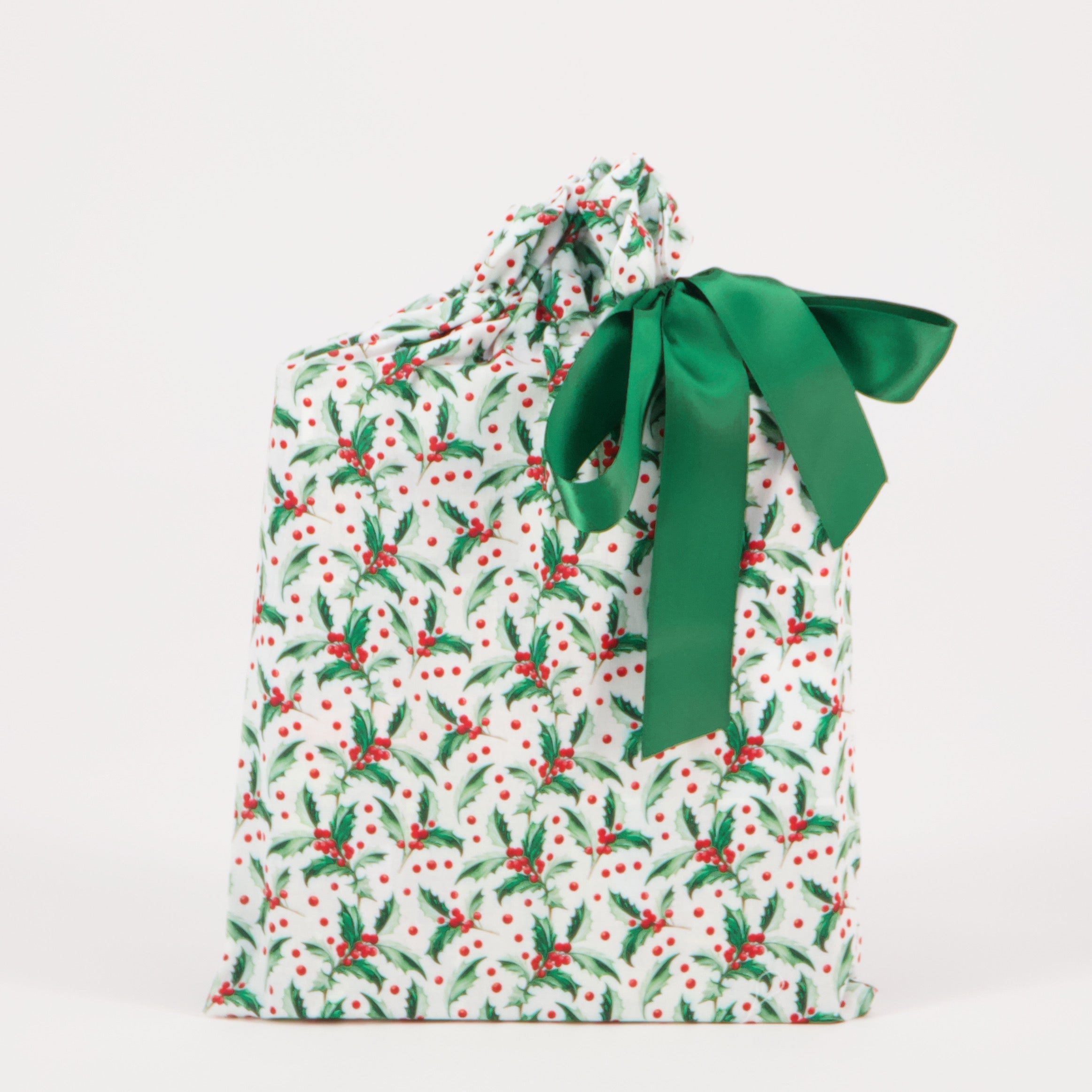 Reusable Gift Bag: Book